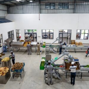 Sustainability & Circular Economy Practices in Agro-Processing